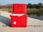 ถังน้ำแข็ง ถังแช่น้ำแข็ง ขนาด 60 ลิตร - Safe Icebucket Jitfiberglass