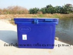 ถังน้ำแข็ง ถังแช่น้ำแข็ง ขนาด 80 ลิตร - Safe Icebucket Jitfiberglass