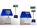 ขายเครื่องชั่งระดับพื้น FLOOR SCALE - Truck And Balance Scales Co., Ltd.
