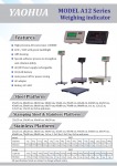 Yaohua weinging indicator - Truck And Balance Scales Co., Ltd.