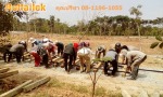 รับวางระบบรางรถราง  - รับออกแบบสร้างรถไฟเล็ก - เดอะพีคเดคอร์แอนด์รถไฟเล็ก