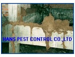 ปลวกขึ้นบ้าน กำจัดปลวก เรียก ฮั้นส์ - Termite control Kanchanaburi
