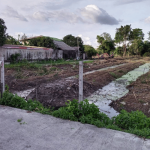 รับขุดร่องสวน บางใหญ่ - Backhoe Pradid