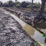 เช่ารถแมคโคร งานขุด งานถม - Backhoe Pradid