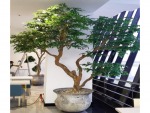 รับออกแบบตกแต่งต้นไม้ประดิษฐ์ - Design and Install Artificial Tree for Garden and Event - Thanaphon Artificial Tree