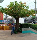 รับจัดต้นไม้ปลอมขนาดใหญ่ทั้งในอาคาร และนอกอาคาร - Design and Install Artificial Tree for Garden and Event - Thanaphon Artificial Tree