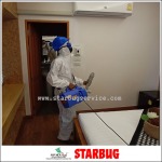 รับฉีดปลวกตายยกรัง - Starbug Pest Control (2018) Co., Ltd.