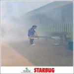 ฉีดพ่นน้ำยากำจัดปลวก - Starbug Pest Control (2018) Co., Ltd.
