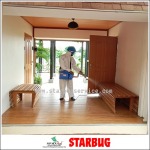 บริษัทรับฉีดปลวก - Starbug Pest Control (2018) Co., Ltd.