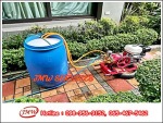 กำจัดปลวกไร้สารเคมี - รับกำจัดปลวกนนทบุรี - JMW เซอร์วิส