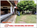 บริการกำจัดปลวก ตายยกรัง - รับกำจัดปลวกนนทบุรี - JMW เซอร์วิส
