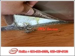 บริการกำจัดปลวกด้วยระบบเหยื่อล่อ - รับกำจัดปลวกนนทบุรี - JMW เซอร์วิส