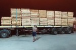 ขายไม้ 1x1 รองแผ่นพื้น เสาเข็มและไม้พาเลทประจวบคีรีขันธ์  - Maduea Thong Co., Ltd.