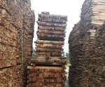 ไม้รองแผ่นพื้นราคาถูกจากโรงงานประจวบคีรีขันธ์  - Maduea Thong Co., Ltd.