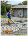 โรงท่อใยหิน กำแพงแสน นครปฐม - Asbestos Pipe Plant Nakhon Pathom Sri Charoen Chok Pipe Plant