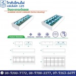 โคมตะแกรงติดลอย - Kodangkhomfai Klangfaifa 125 & TV Co., Ltd.