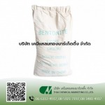 เบนโทไนท์ผง (BENTONITE POWDER) - จำหน่ายเคมีภัณฑ์ เคมีแหลมทองมาร์เกตติ้ง