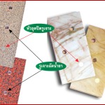 กำจัดปลวกระบบเจาะ - บริษัท เอ็ม เอส ซี เอส (ประเทศไทย) จำกัด