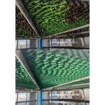 สารเคมีกำจัดตะไคร่น้ำในระบบCooling Tower