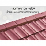 กระเบื้องหลังคาเซรามิค scg - ร้านวัสดุก่อสร้าง SCG Authorized Dealer และ  SCG Housing Expert กรุงเทพ