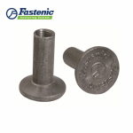 พุกคอนกรีต อินเสิร์ตเหล็ก CE - พุกเหล็ก พุกคอนกรีต - Fastenic