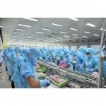 ห้องไลน์การผลิต