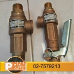 Valves and Steam Trap - บริษัท พิพัฒน์ ซัพพลายส์ จำกัด