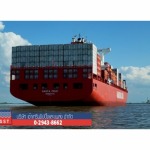 Freight Forwarder - ตัวแทนขนส่งระหว่างประเทศ เซ้าเทรินชิปปิ้ง