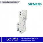 เบรกเกอร์ แมกเนติก ลูกย่อย SIEMENS - ขายส่งอุปกรณ์ไฟฟ้าแรงสูง-แรงต่ำ เอ็น.พี.ที.อีเลคทริค ซัพพลาย
