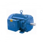 มอเตอร์กันระเบิด (บลาซิล) / Explosion Proof Motor (Brazil) - บริษัท เจริญเมืองแมชชินเนอรี่ จำกัด