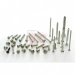 Screw Tapping Stainless - สกรูเกลียวปล่อย สแตนเลส - โรงงานผลิตสกรูน๊อต รับทำน๊อตตามสั่งแบบ สมุทรสาคร - ที ซี สกรูน๊อต