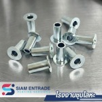 ชุบซิงค์สีขาว