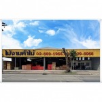 ร้านขายไม้ ปทุมธานี