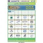 ลูกปืน - น๊อตและสกรู / Nuts & Screws - บริษัท คอนแทรคเตอร์ ช๊อป จำกัด