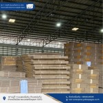 Cardboard box factory, Ayutthaya - โรงงานผลิตกล่องกระดาษลูกฟูก อยุธยา