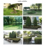 ดูแลสวนครบวงจร - บริษัท จีเอฟไอ โซลูชั่น เซอร์วิส จำกัด