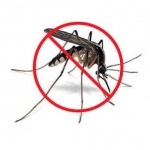 บริษัทกำจัดยุง กำจัดแมลงวัน เชียงใหม่ - กำจัดปลวก เชียงใหม่  จีบี เพสท์ คอนโทรล