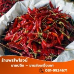 ขายส่งพริกแห้ง - เครื่องเทศ เชียงใหม่ - พรไพโรจน์