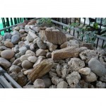 ขายส่ง กรวดจัดสวน
