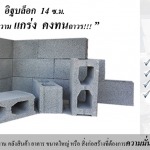 tspblock - ห้างหุ้นส่วนจำกัด ทองสุพรรณเปี่ยมสุข 