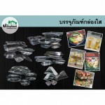 กล่องพลาสติกใส ราคาส่ง - บริษัท บ้านบรรจุภัณฑ์ จำกัด