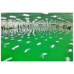 Epoxy Selfleveling  - บริษัท สีโวยโค้ทติ้ง จำกัด