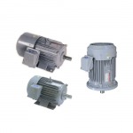 Induction Motor Mitsubishi 