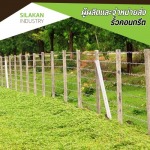 รับติดตั้งรั้วลวดหนาม - โรงงานผลิตรั้วคอนกรีต