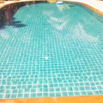 งานติดกระเบื้องสระว่ายน้ำ - ห้างหุ้นส่วนจำกัด ลีดเดอร์พูลส์  (สุราษฎร์ธานี)