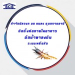 กำจัดปลวกด้วยสมุนไพร อุบลราชธานี - กำจัดปลวกอุบล เอส ซี เอส สตาร์เคมิคอล เซอร์วิส