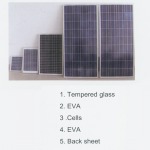 Poly-Crystalline Solar PV Module