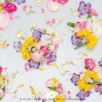 กลิ่นน้ำหอมแนวดอกไม้ - บริษัท อินเตอร์ เทสท์ เซ้นต์ จำกัด