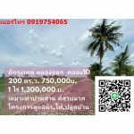 บริษัทจัดสรรที่ดิน