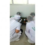 วางระบบป้องกันและกำจัดปลวก -  กำจัดปลวกสงขลา ภาคใต้ เอสที เคมีคอล เซอร์วิส